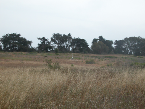 Coal oil point reserve