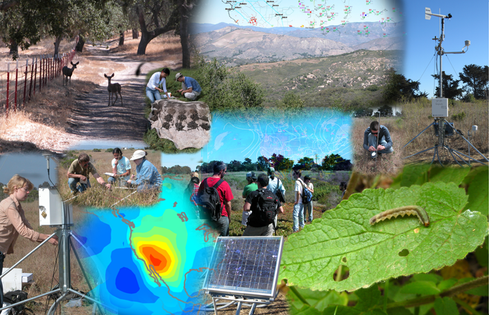 Collage showing what the IDEAS project is about